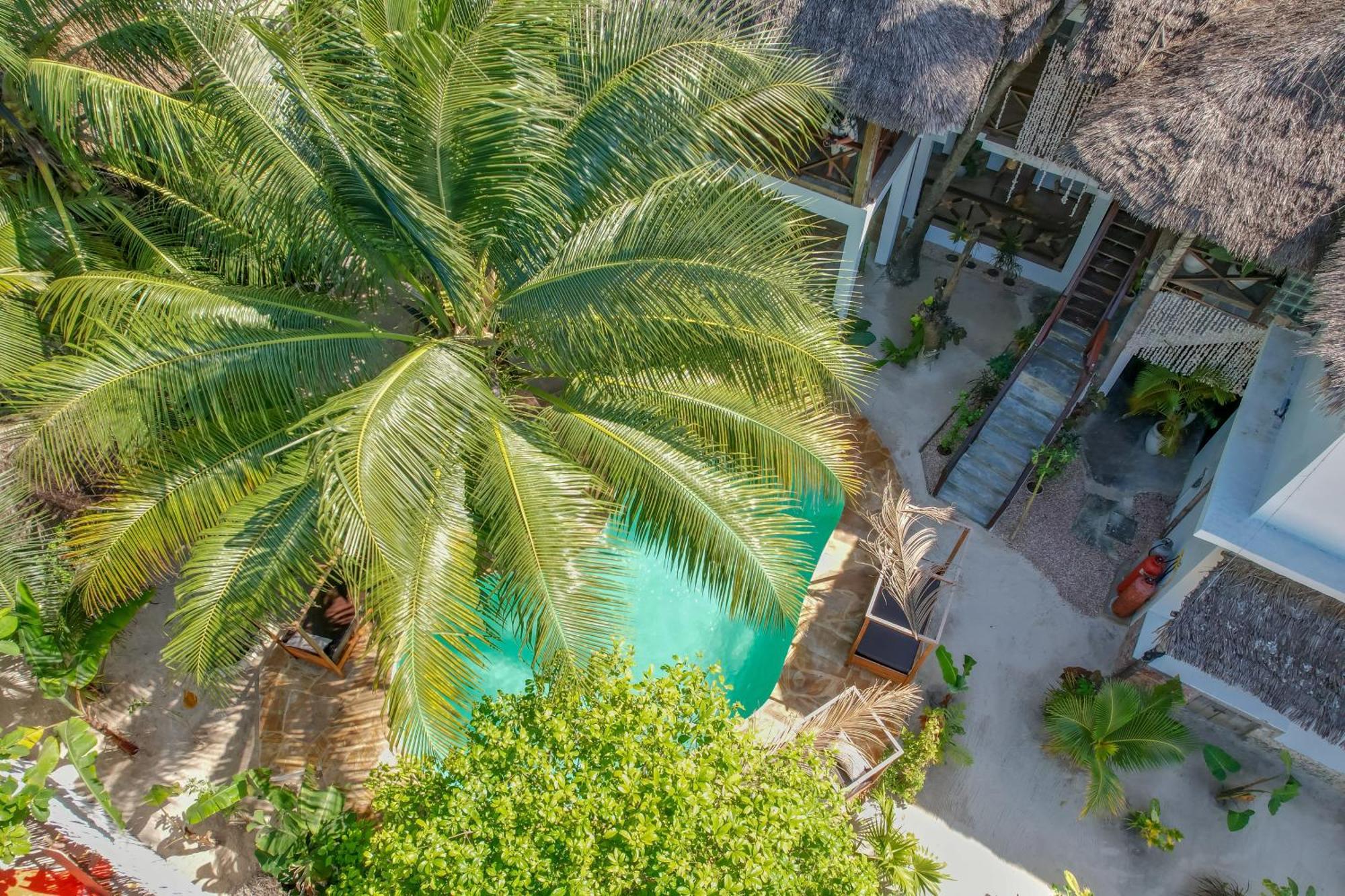 Ocean Boho House Panzió Jambiani  Kültér fotó